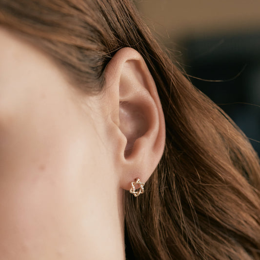 Diamond Star of David earrings in 585 solid gold