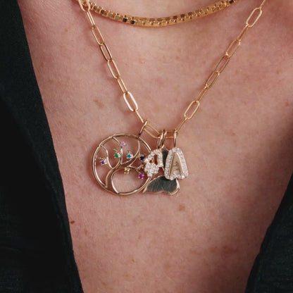 Diamant-Hamsa-Charm